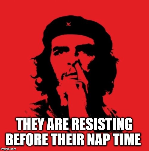 pick che  | THEY ARE RESISTING BEFORE THEIR NAP TIME | image tagged in pick che | made w/ Imgflip meme maker
