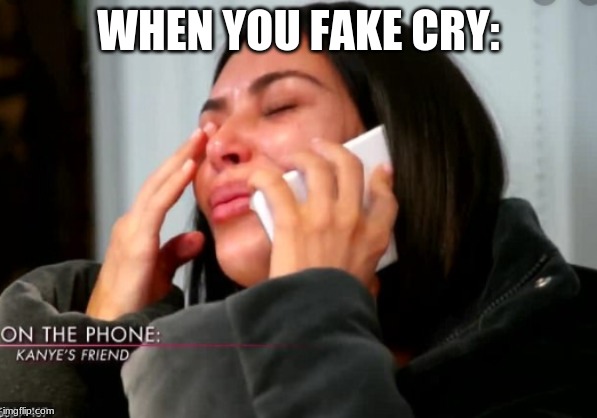memes 2019 | WHEN YOU FAKE CRY: | image tagged in memes 2019 | made w/ Imgflip meme maker
