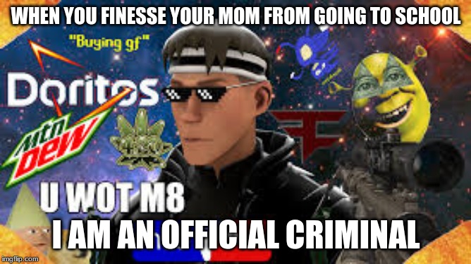 School sucks dick | WHEN YOU FINESSE YOUR MOM FROM GOING TO SCHOOL; I AM AN OFFICIAL CRIMINAL | image tagged in school | made w/ Imgflip meme maker