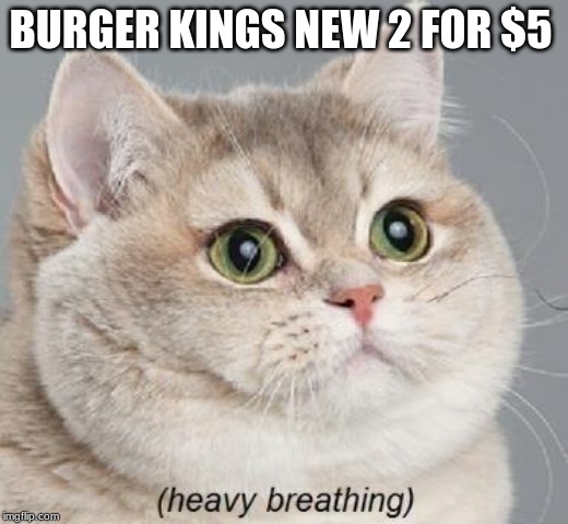 Heavy Breathing Cat Meme | BURGER KINGS NEW 2 FOR $5 | image tagged in memes,heavy breathing cat | made w/ Imgflip meme maker