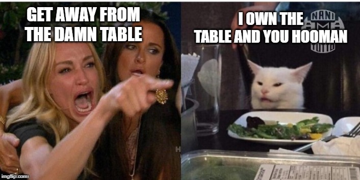 white cat table | I OWN THE TABLE AND YOU HOOMAN; GET AWAY FROM THE DAMN TABLE | image tagged in white cat table | made w/ Imgflip meme maker