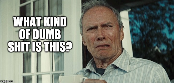 Clint Eastwood WTF | WHAT KIND OF DUMB SHIT IS THIS? | image tagged in clint eastwood wtf | made w/ Imgflip meme maker