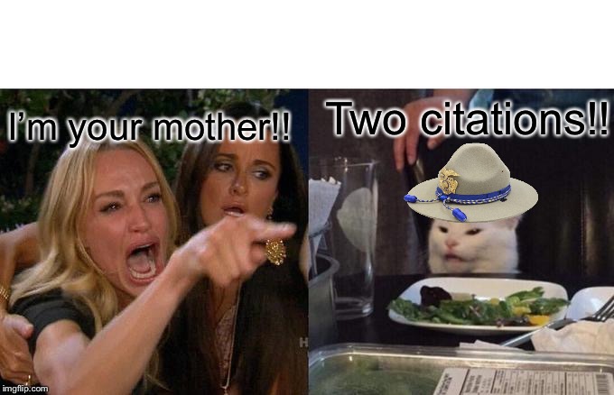 Woman Yelling At Cat Meme | Two citations!! I’m your mother!! | image tagged in memes,woman yelling at cat | made w/ Imgflip meme maker