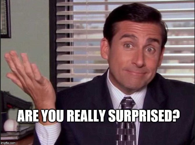 Michael Scott | ARE YOU REALLY SURPRISED? | image tagged in michael scott | made w/ Imgflip meme maker