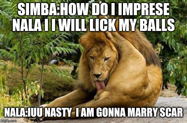 lion licking balls | SIMBA:HOW DO I IMPRESE NALA I I WILL LICK MY BALLS; NALA:IUU NASTY  I AM GONNA MARRY SCAR | image tagged in lion licking balls,craziness_all_the_way,funny memes,lol so funny,lion king meme | made w/ Imgflip meme maker