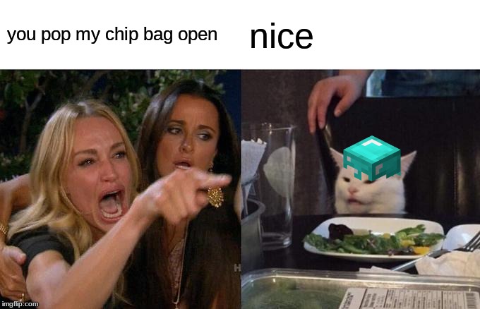 Woman Yelling At Cat | you pop my chip bag open; nice | image tagged in memes,woman yelling at cat | made w/ Imgflip meme maker