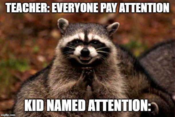 Evil Plotting Raccoon Meme | TEACHER: EVERYONE PAY ATTENTION; KID NAMED ATTENTION: | image tagged in memes,evil plotting raccoon | made w/ Imgflip meme maker