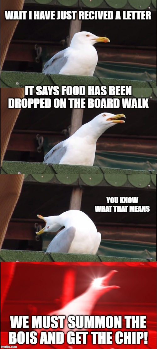 Inhaling Seagull Meme | WAIT I HAVE JUST RECIVED A LETTER; IT SAYS FOOD HAS BEEN DROPPED ON THE BOARD WALK; YOU KNOW WHAT THAT MEANS; WE MUST SUMMON THE BOIS AND GET THE CHIP! | image tagged in memes,inhaling seagull | made w/ Imgflip meme maker