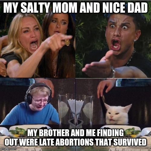 Four panel Taylor Armstrong Pauly D CallmeCarson Cat | MY SALTY MOM AND NICE DAD; MY BROTHER AND ME FINDING OUT WERE LATE ABORTIONS THAT SURVIVED | image tagged in four panel taylor armstrong pauly d callmecarson cat | made w/ Imgflip meme maker