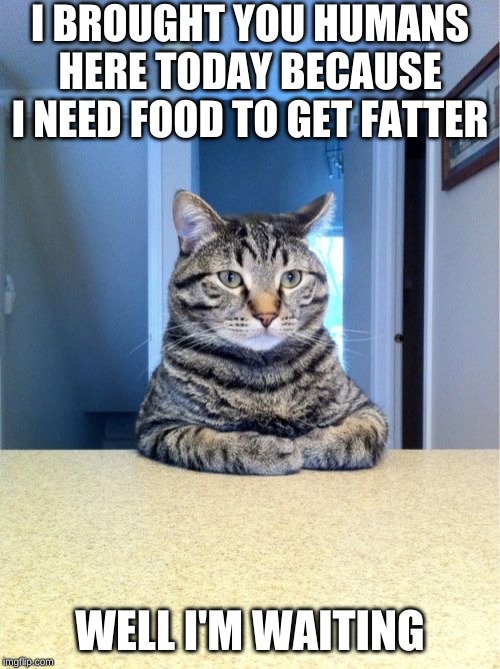 Take A Seat Cat Meme | I BROUGHT YOU HUMANS HERE TODAY BECAUSE I NEED FOOD TO GET FATTER; WELL I'M WAITING | image tagged in memes,take a seat cat | made w/ Imgflip meme maker
