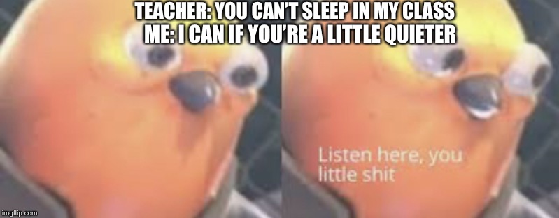 Listen here you little shit bird | TEACHER: YOU CAN’T SLEEP IN MY CLASS; ME: I CAN IF YOU’RE A LITTLE QUIETER | image tagged in listen here you little shit bird | made w/ Imgflip meme maker