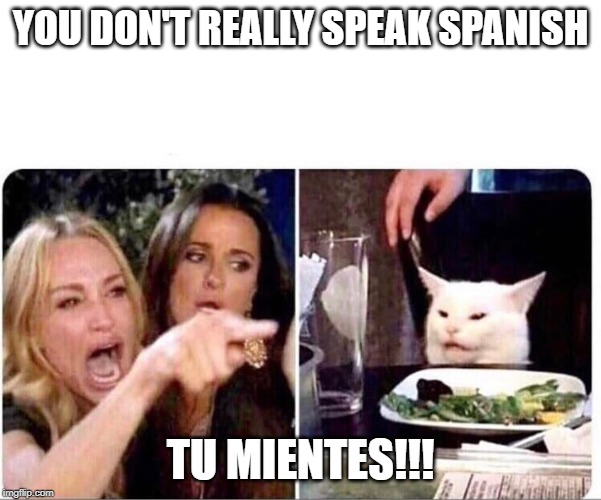You don't really speak SpanishT,=u Mientes!!! | YOU DON'T REALLY SPEAK SPANISH; TU MIENTES!!! | image tagged in women upset at cat | made w/ Imgflip meme maker
