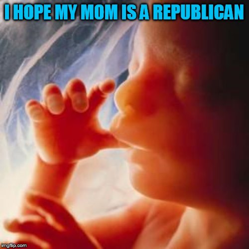 Fetus | I HOPE MY MOM IS A REPUBLICAN | image tagged in fetus | made w/ Imgflip meme maker