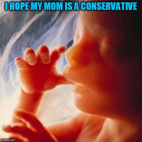 If you are conceived to a liberal, your life chances drop! | I HOPE MY MOM IS A CONSERVATIVE | image tagged in fetus,conservatives,liberals,baby,abortion,right to life | made w/ Imgflip meme maker