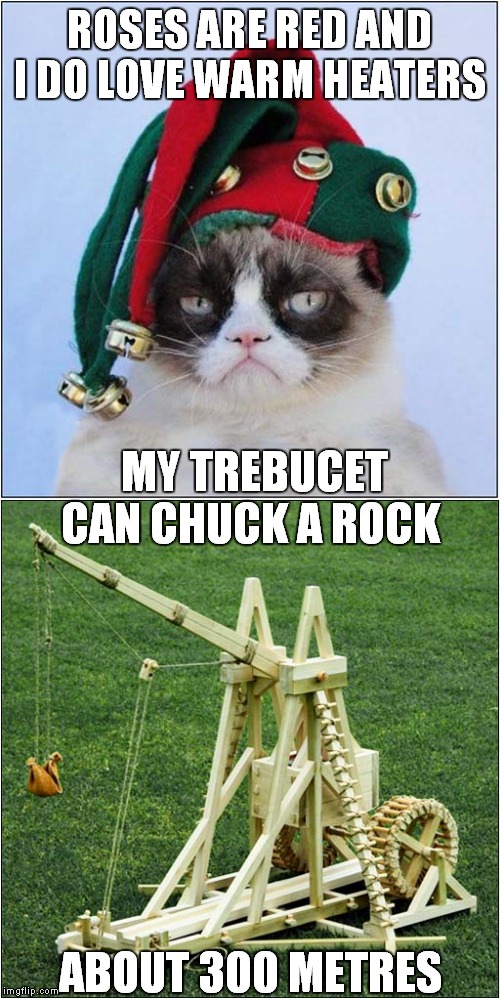 Grumpys Trebuchet Poem | ROSES ARE RED AND I DO LOVE WARM HEATERS; MY TREBUCET CAN CHUCK A ROCK; ABOUT 300 METRES | image tagged in fun,grumpy cat,medieval | made w/ Imgflip meme maker