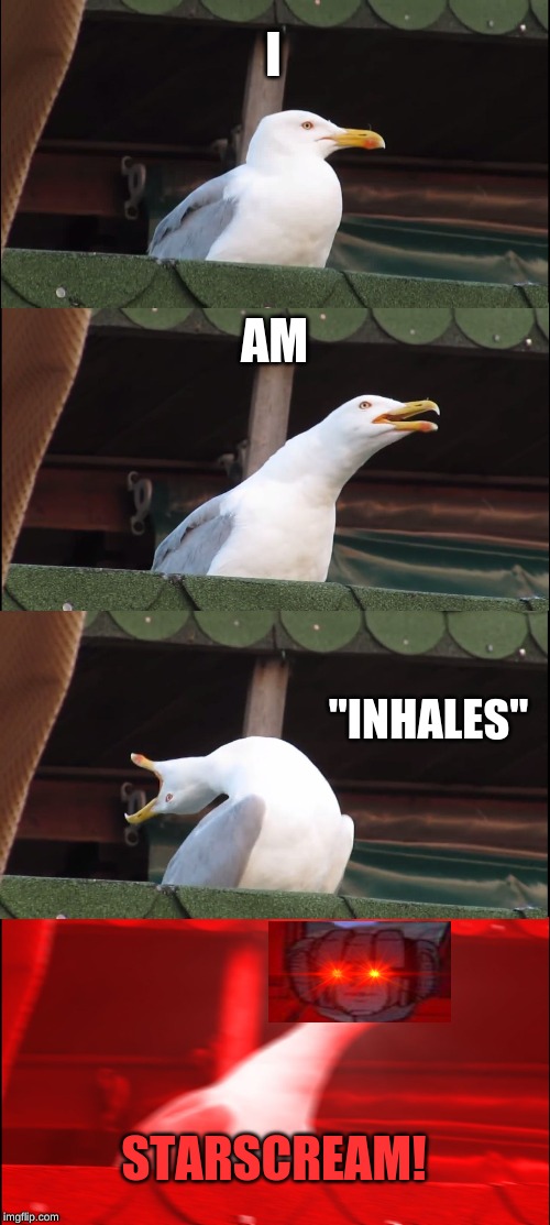 Inhaling Seagull Meme | I; AM; "INHALES"; STARSCREAM! | image tagged in memes,inhaling seagull | made w/ Imgflip meme maker