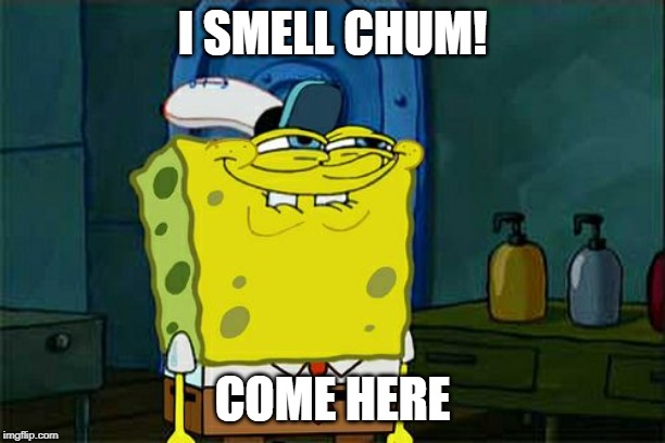 Don't You Squidward | I SMELL CHUM! COME HERE | image tagged in memes,dont you squidward | made w/ Imgflip meme maker