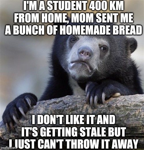 Confession Bear Meme | I'M A STUDENT 400 KM FROM HOME, MOM SENT ME A BUNCH OF HOMEMADE BREAD; I DON'T LIKE IT AND IT'S GETTING STALE BUT I JUST CAN'T THROW IT AWAY | image tagged in memes,confession bear | made w/ Imgflip meme maker