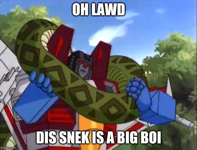 oh lawd | OH LAWD; DIS SNEK IS A BIG BOI | image tagged in oh lawd | made w/ Imgflip meme maker