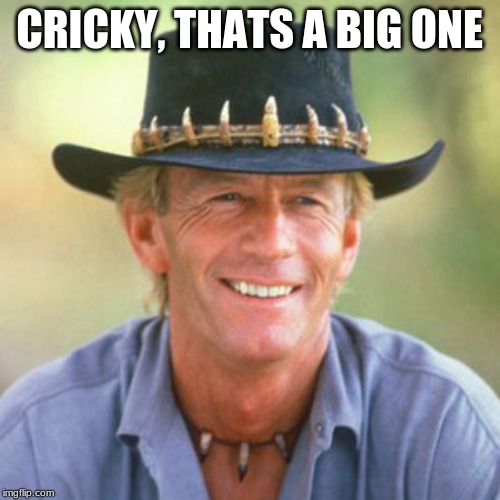 australianguy | CRICKY, THATS A BIG ONE | image tagged in australianguy | made w/ Imgflip meme maker