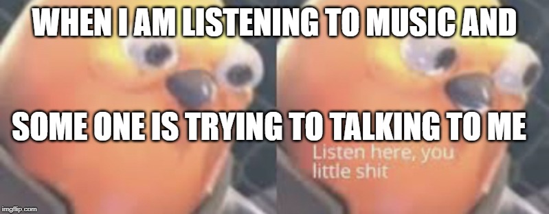 Listen here you little shit bird | WHEN I AM LISTENING TO MUSIC AND; SOME ONE IS TRYING TO TALKING TO ME | image tagged in listen here you little shit bird | made w/ Imgflip meme maker