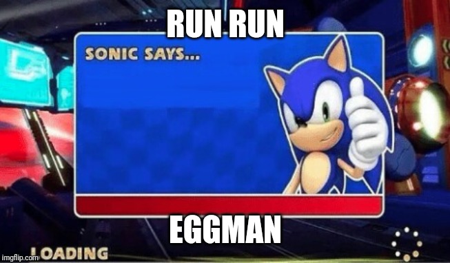 Sonic Says | RUN RUN; EGGMAN | image tagged in sonic says | made w/ Imgflip meme maker