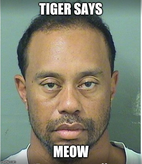 Tiger Woods Mug Shot  | TIGER SAYS; MEOW | image tagged in tiger woods mug shot | made w/ Imgflip meme maker