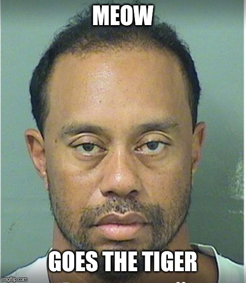 Tiger Woods Mug Shot  | MEOW; GOES THE TIGER | image tagged in tiger woods mug shot | made w/ Imgflip meme maker