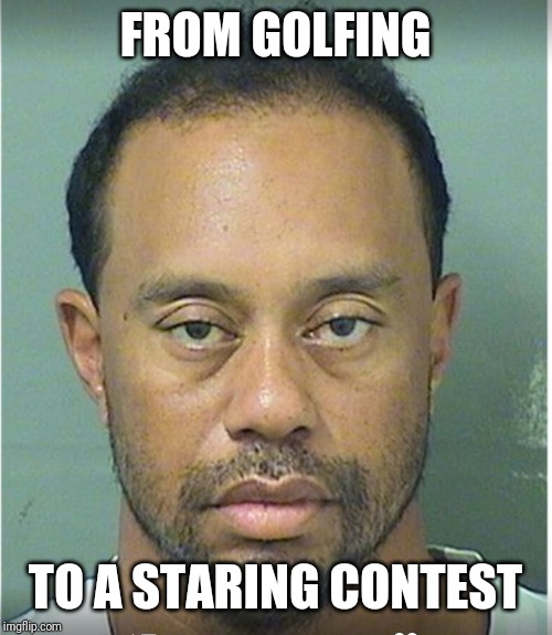 Tiger Woods Mug Shot  | FROM GOLFING; TO A STARING CONTEST | image tagged in tiger woods mug shot | made w/ Imgflip meme maker