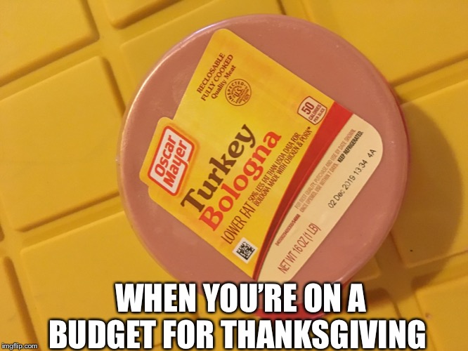 WHEN YOU’RE ON A BUDGET FOR THANKSGIVING | image tagged in thanksgiving | made w/ Imgflip meme maker