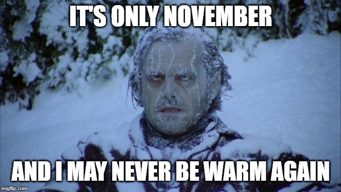 Cold | IT'S ONLY NOVEMBER; AND I MAY NEVER BE WARM AGAIN | image tagged in cold | made w/ Imgflip meme maker