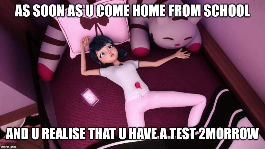Miraculous Ladybug Marinette In bed | AS SOON AS U COME HOME FROM SCHOOL; AND U REALISE THAT U HAVE A TEST 2MORROW | image tagged in miraculous ladybug marinette in bed | made w/ Imgflip meme maker