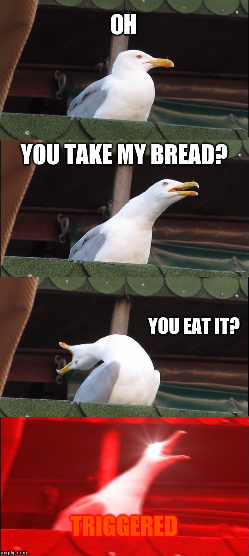 Inhaling Seagull | OH; YOU TAKE MY BREAD? YOU EAT IT? TRIGGERED | image tagged in memes,inhaling seagull | made w/ Imgflip meme maker