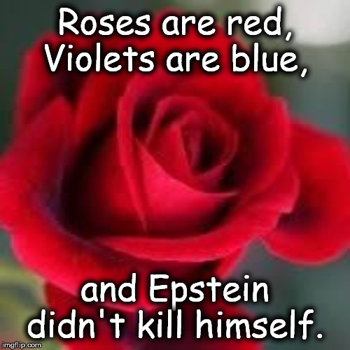 roses are red | Roses are red, Violets are blue, and Epstein didn't kill himself. | image tagged in roses are red | made w/ Imgflip meme maker