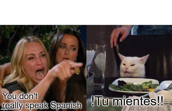 Woman Yelling At Cat Meme | You don't really speak Spanish; !Tu mientes!! | image tagged in memes,woman yelling at cat | made w/ Imgflip meme maker