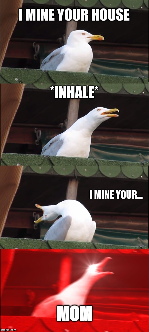 Inhaling Seagull | I MINE YOUR HOUSE; *INHALE*; I MINE YOUR... MOM | image tagged in memes,inhaling seagull | made w/ Imgflip meme maker