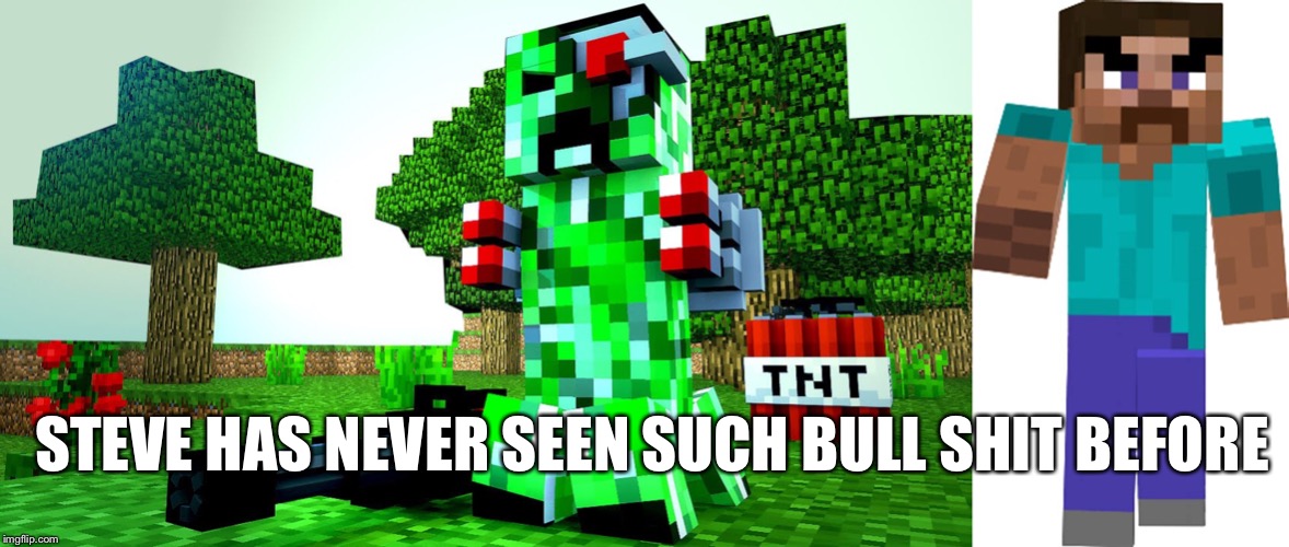 STEVE HAS NEVER SEEN SUCH BULL SHIT BEFORE | image tagged in minecraft | made w/ Imgflip meme maker