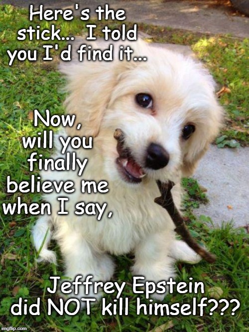 He didn't do it... | Here's the stick...  I told you I'd find it... Now, will you finally believe me when I say, Jeffrey Epstein did NOT kill himself??? | image tagged in jeffrey epstein,stick,dog | made w/ Imgflip meme maker