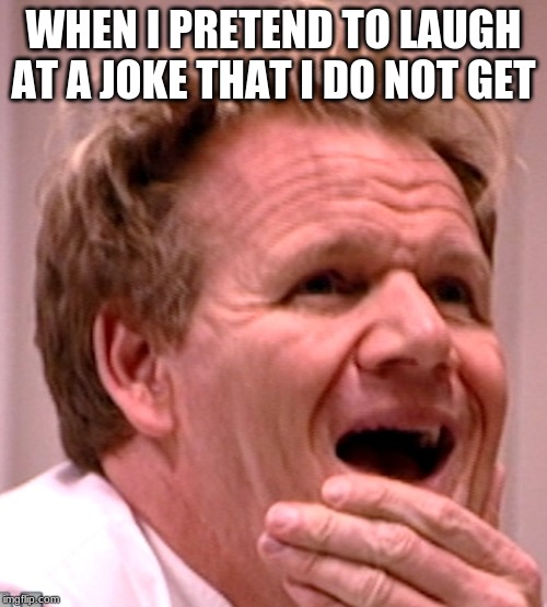 WHEN I PRETEND TO LAUGH AT A JOKE THAT I DO NOT GET | image tagged in chef gordon ramsay,laughing | made w/ Imgflip meme maker