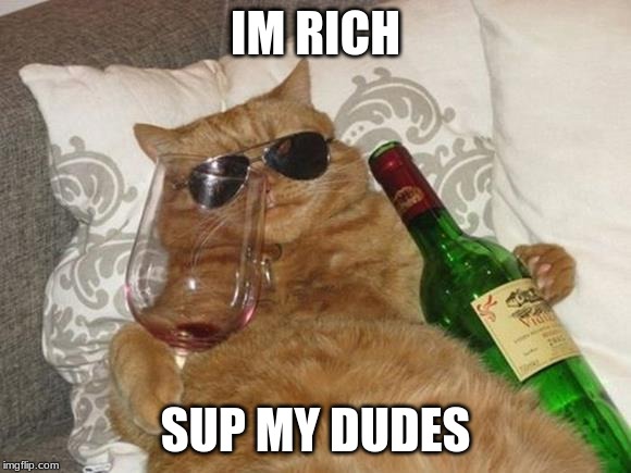 Funny Cat Birthday | IM RICH; SUP MY DUDES | image tagged in funny cat birthday | made w/ Imgflip meme maker