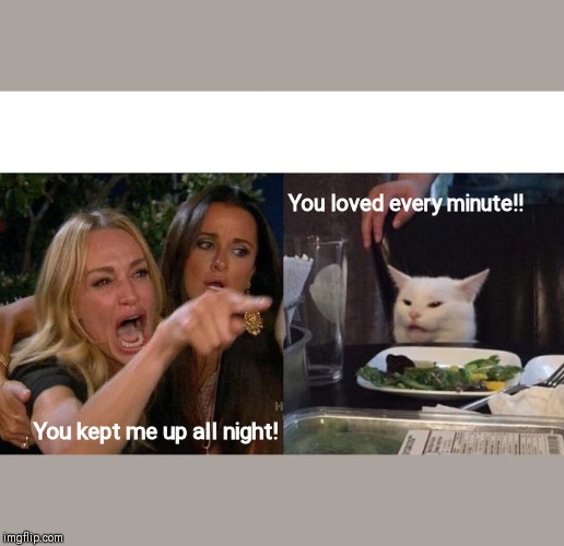 Woman Yelling At Cat | You loved every minute!! You kept me up all night! | image tagged in memes,woman yelling at cat | made w/ Imgflip meme maker