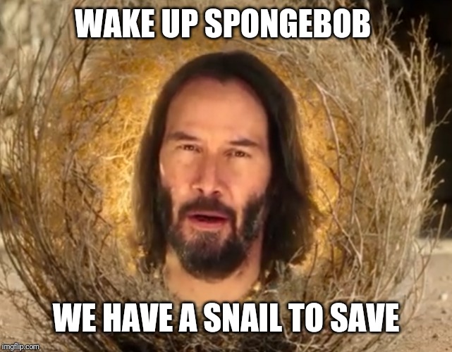 Keanu Reeves in a spongebob movie | WAKE UP SPONGEBOB; WE HAVE A SNAIL TO SAVE | image tagged in memes,funny,spongebob,keanu reeves,movie,tumbleweed keanu | made w/ Imgflip meme maker