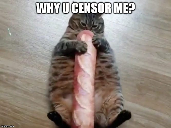 dont look at this wrong | WHY U CENSOR ME? | image tagged in google | made w/ Imgflip meme maker