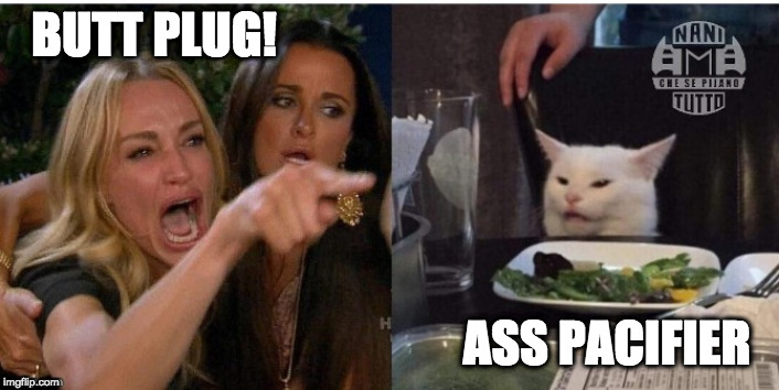 white cat table | BUTT PLUG! ASS PACIFIER | image tagged in white cat table | made w/ Imgflip meme maker