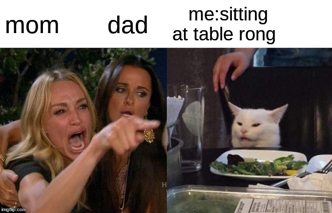 Woman Yelling At Cat | mom       dad; me:sitting at table rong | image tagged in memes,woman yelling at cat | made w/ Imgflip meme maker