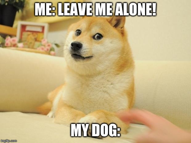 Doge 2 | ME: LEAVE ME ALONE! MY DOG: | image tagged in memes,doge 2 | made w/ Imgflip meme maker
