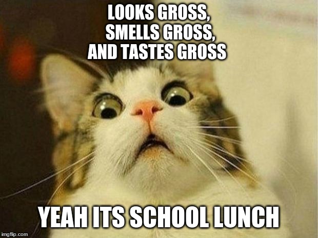Scared Cat Meme | LOOKS GROSS,
 SMELLS GROSS,
AND TASTES GROSS; YEAH ITS SCHOOL LUNCH | image tagged in memes,scared cat | made w/ Imgflip meme maker