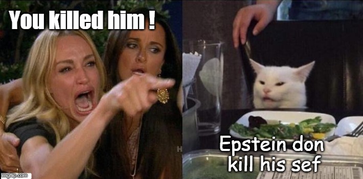 Cajun - You killed Epstein! | You killed him ! Epstein don 
kill his sef | image tagged in funny memes,woman yelling at cat,political meme,jeffrey epstein,epstein | made w/ Imgflip meme maker