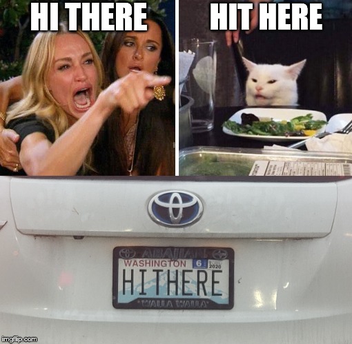 HI THERE; HIT HERE | image tagged in smudge the cat | made w/ Imgflip meme maker