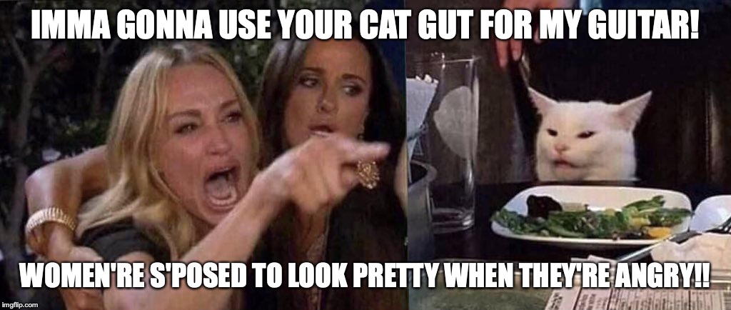 woman yelling at cat | IMMA GONNA USE YOUR CAT GUT FOR MY GUITAR! WOMEN'RE S'POSED TO LOOK PRETTY WHEN THEY'RE ANGRY!! | image tagged in woman yelling at cat | made w/ Imgflip meme maker